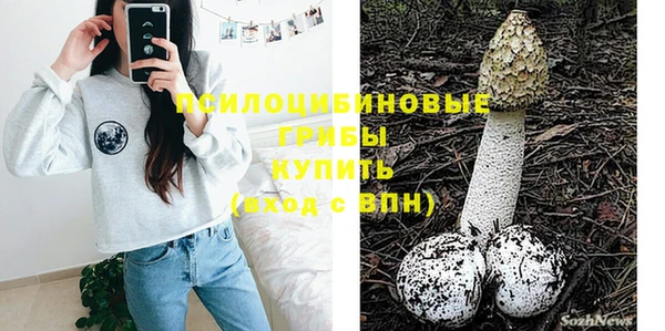 ГАЛЛЮЦИНОГЕННЫЕ ГРИБЫ Верея