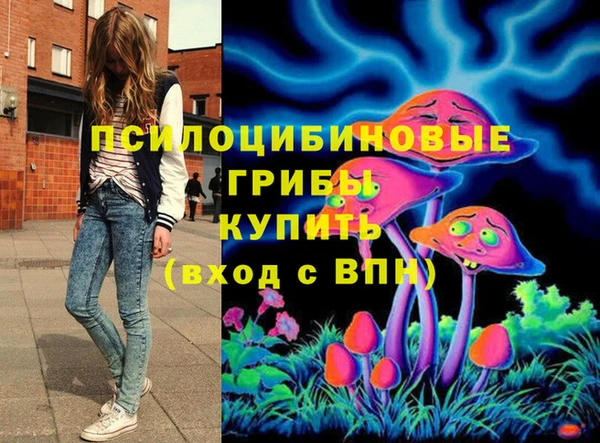 бутик Бородино