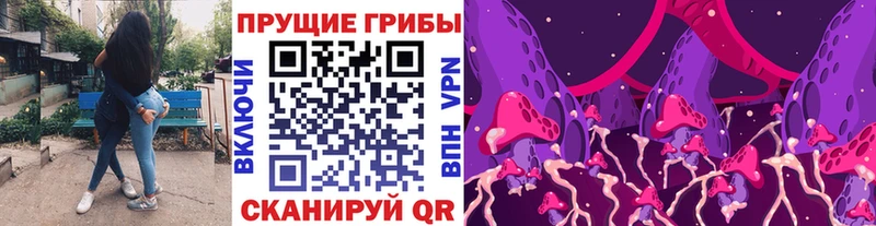 дарк нет телеграм  Кашира  Галлюциногенные грибы Psilocybine cubensis 